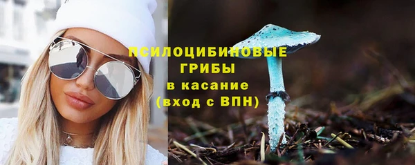 мяу мяу мука Арсеньев