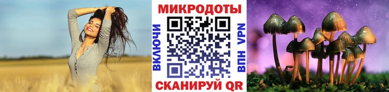 Псилоцибиновые грибы Psilocybine cubensis Пролетарск